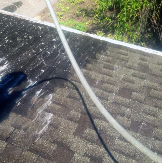 PW_Roof1.jpg