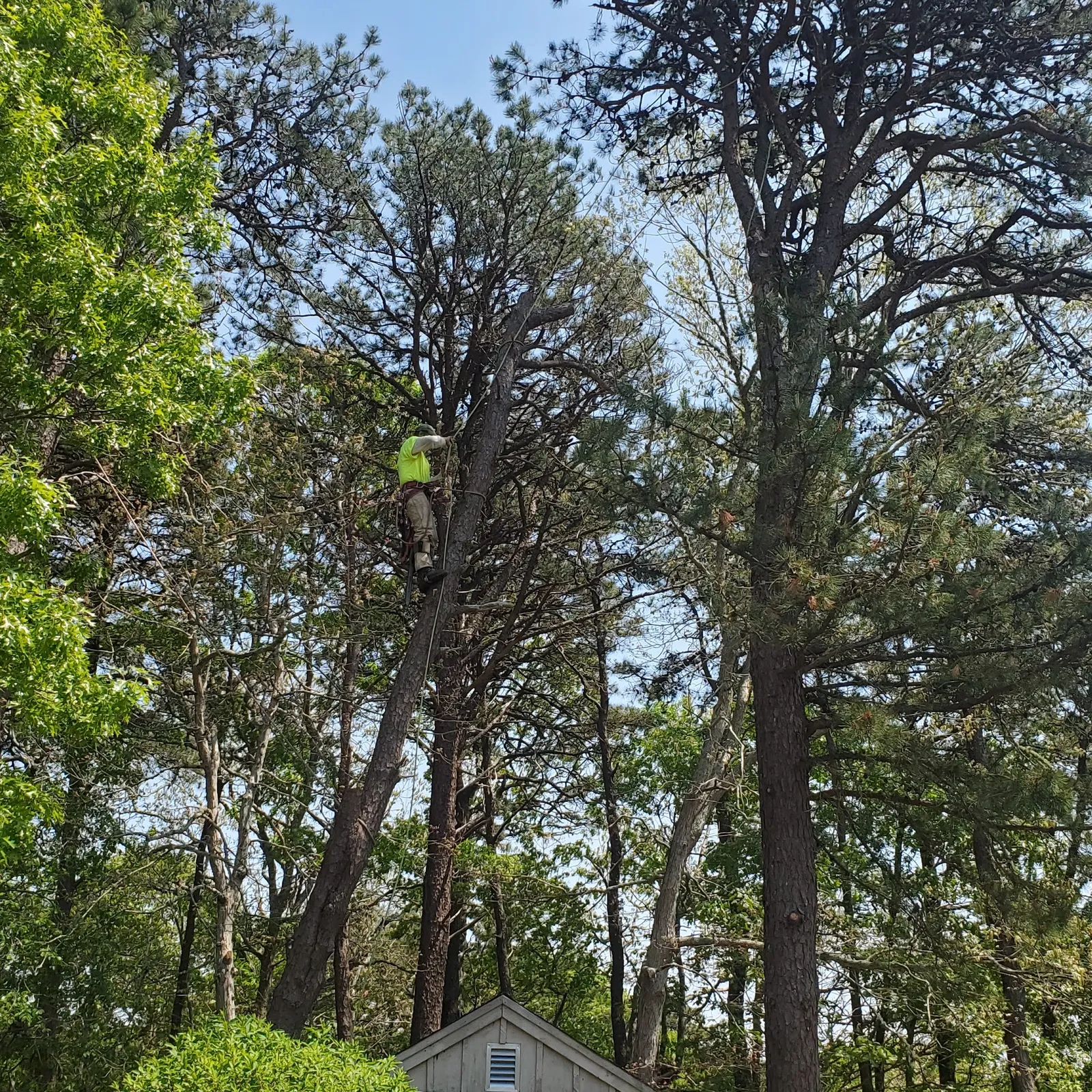 work photo from Google listing