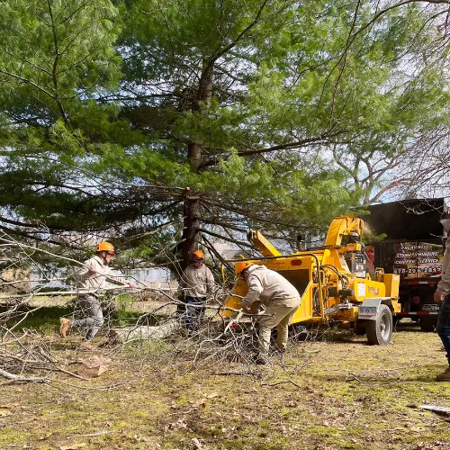 work photo from gnltreeservices.com
