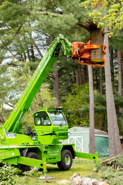work photo from dlandgtree.com