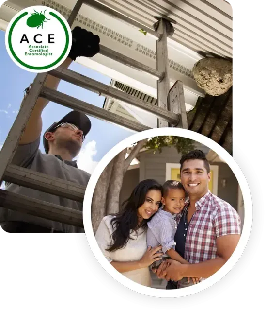 Ecologic Etomology technician climbing ladder inspecting house