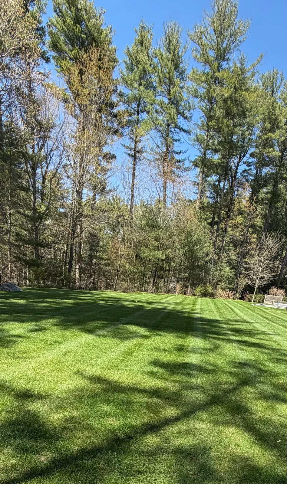 Vasquez Landscaping Services