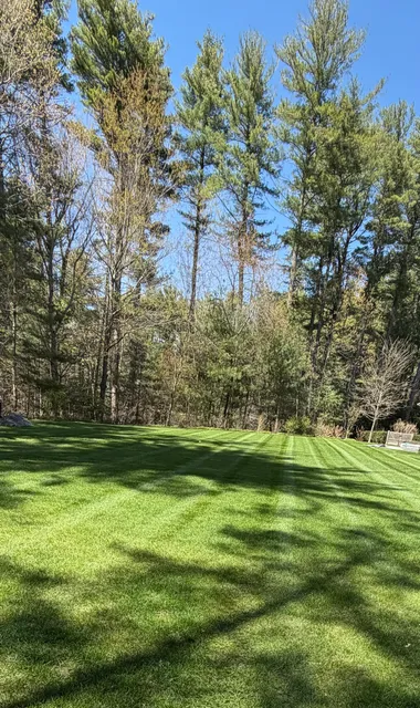 Vasquez Landscaping Services