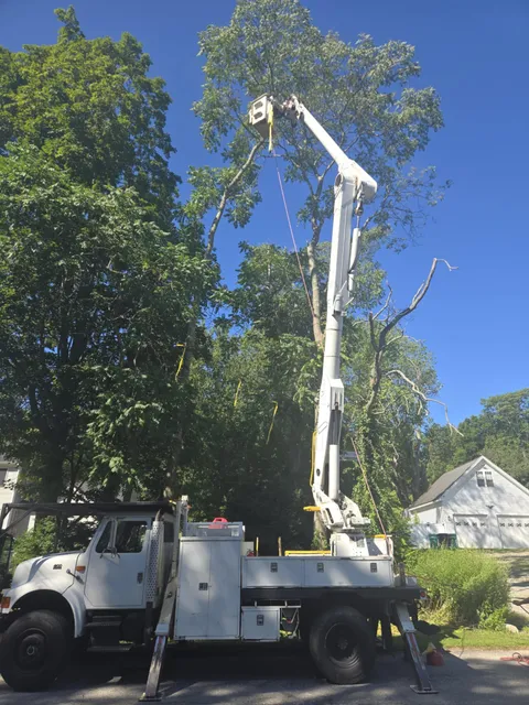 Bucket truck boom reaching over the roofline of a house to work on a tall tree beside it