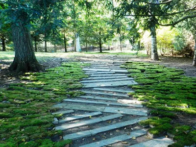 work photo from siriuslandscapes.com