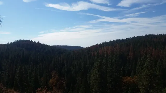 20161111_112401.jpg