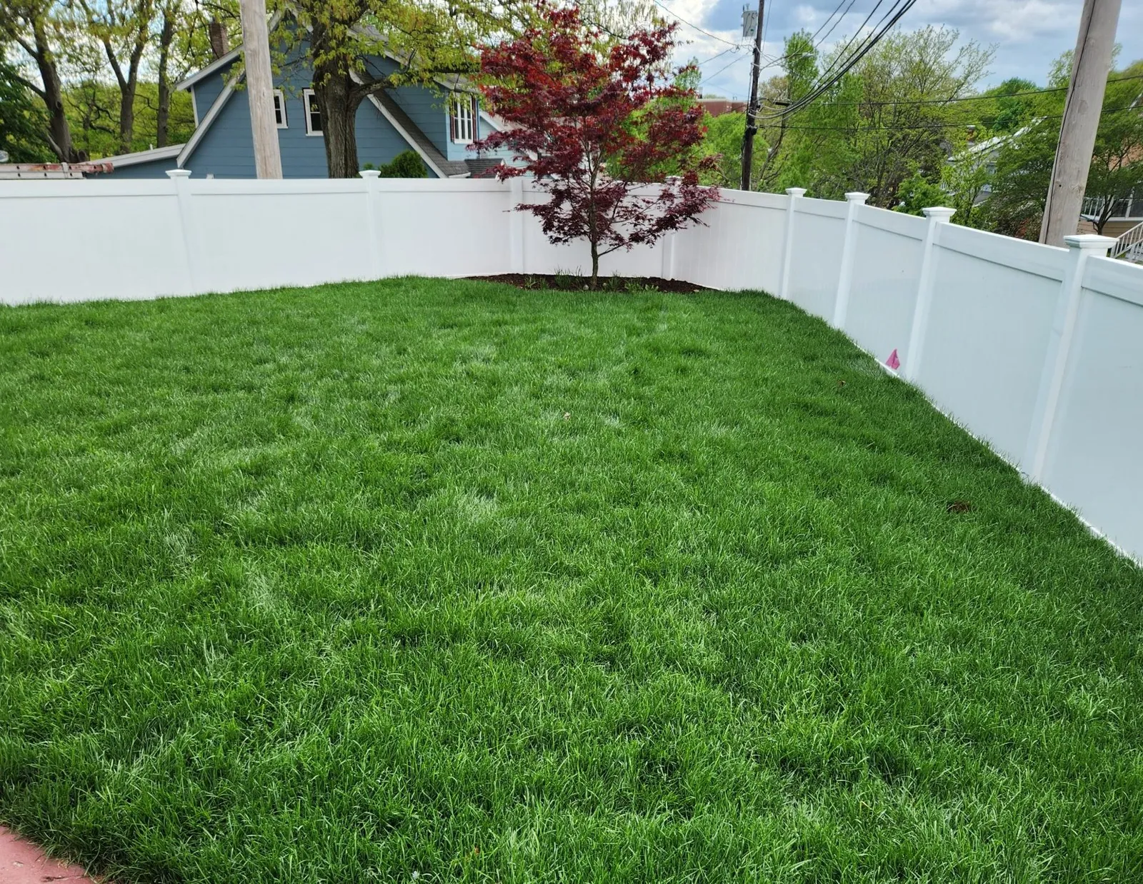An example of Craig's Landscaping's lawn maintenance service