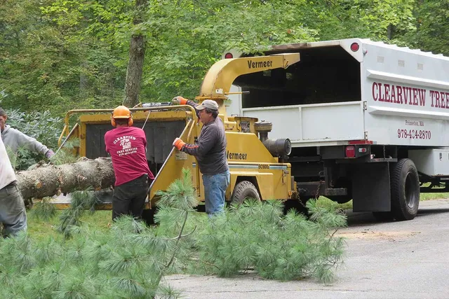 work photo from clearviewtreeserv.com