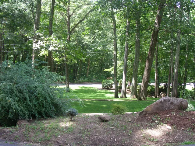 work photo from theprovidencegrasscompany.com