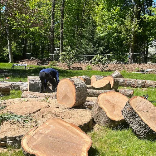work photo from gnltreeservices.com