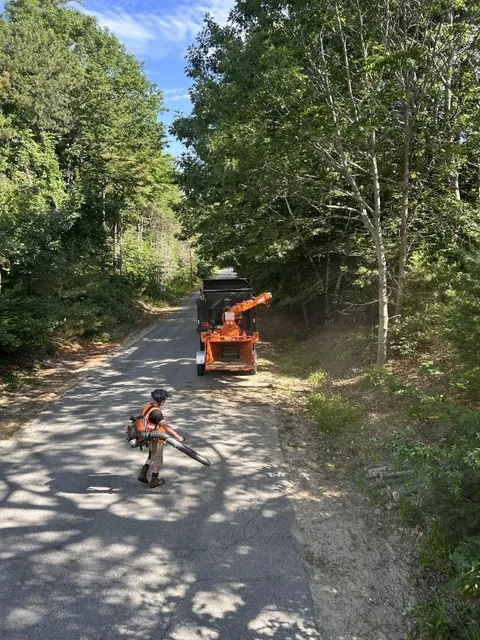 work photo from fallroadtreeworks.com