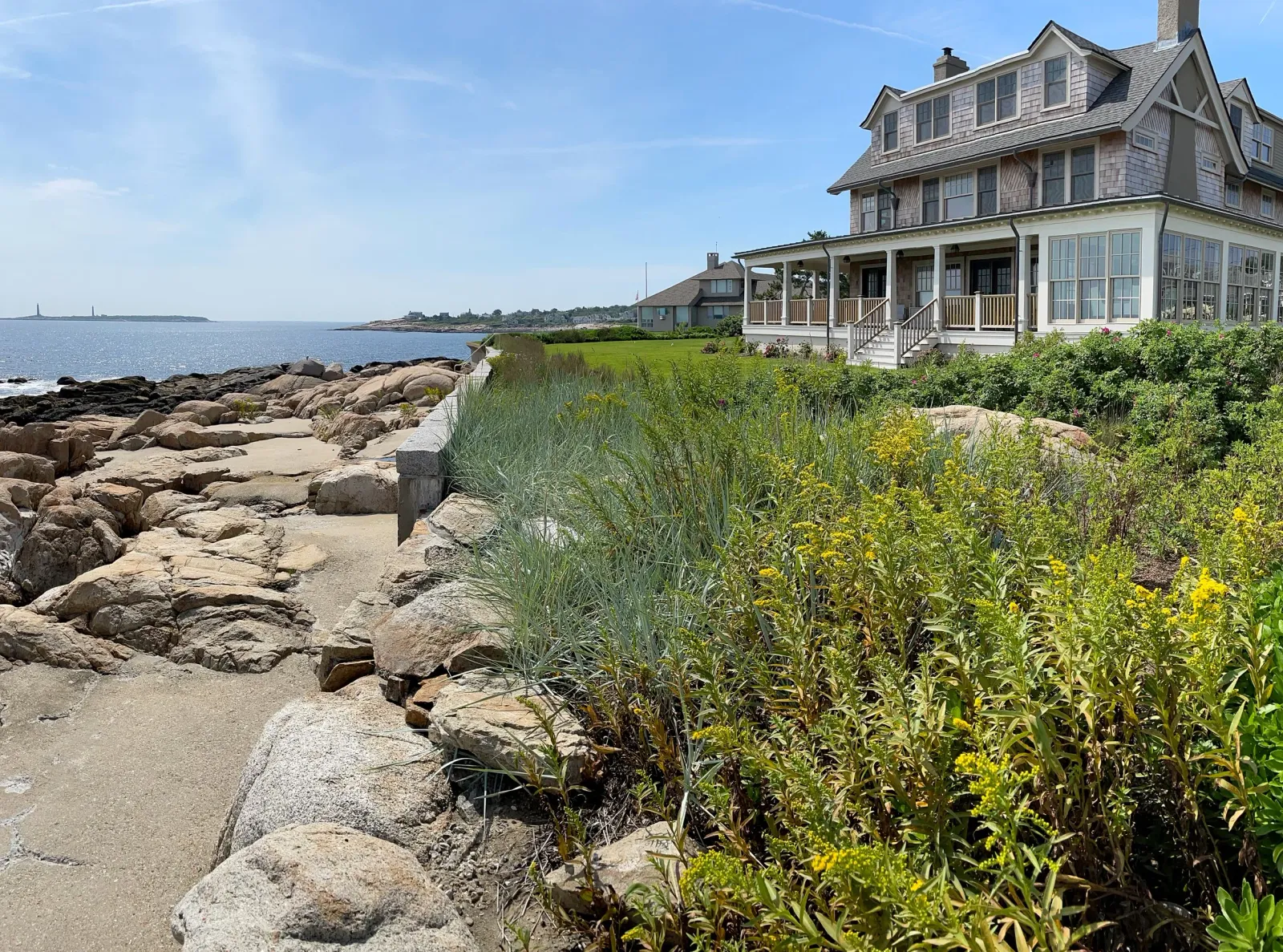 stephen-bagley_seasideplanting1.jpg