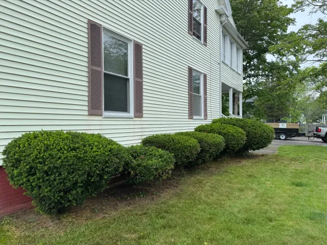 Bushes After Trimming
