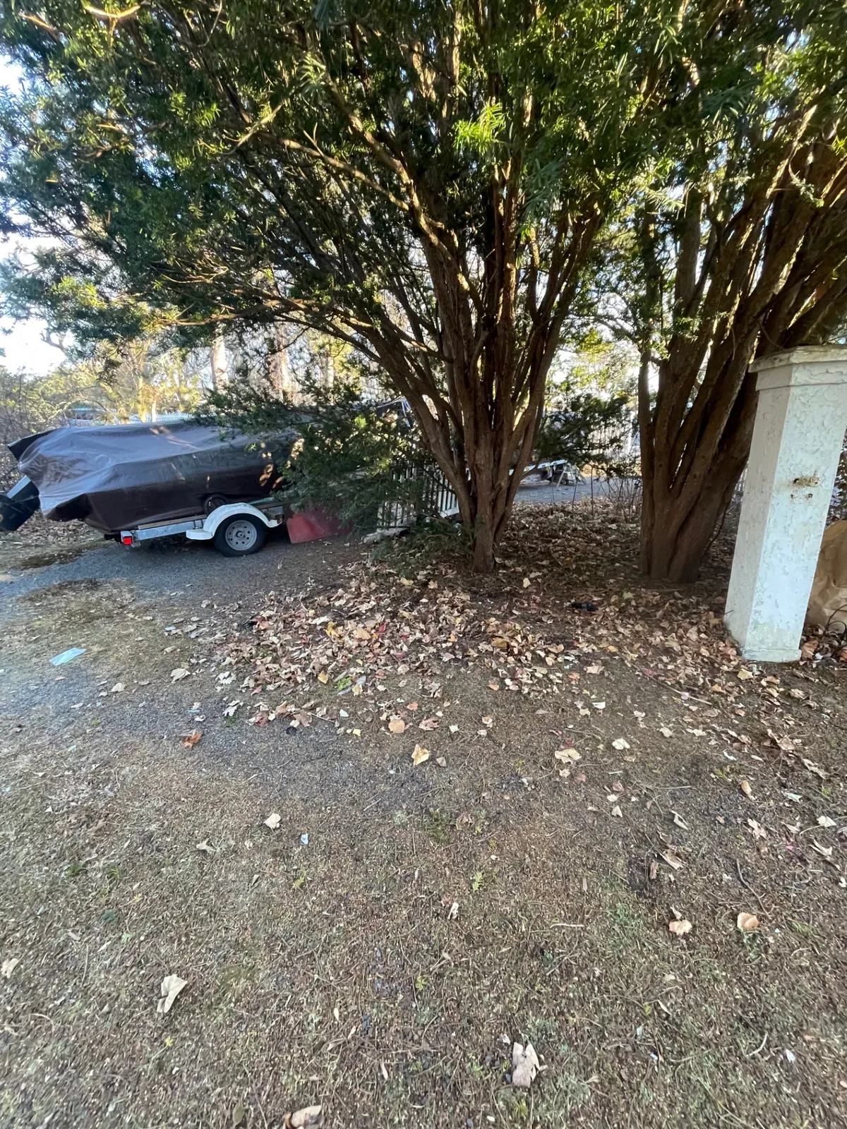 Yard Cleanout — Full Haul — after