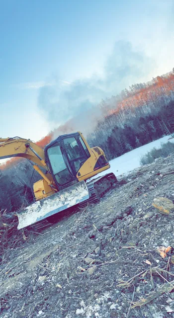 A&D Tree Service work photo