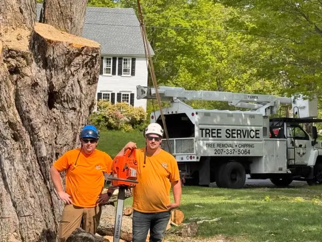 work photo from blackbeartreemaine.com