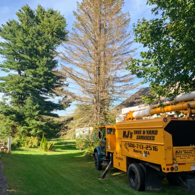 RJ's Tree Removal and Yard Services work photo