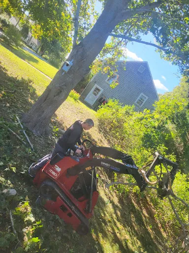 Mackenzie Tree Service work photo