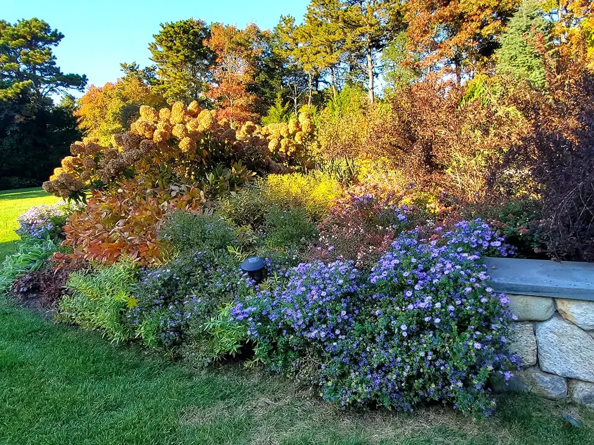 work photo from juliagardenosterville.com