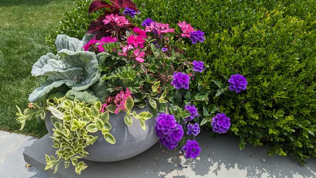 work photo from gregorylandscapes.com