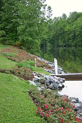 work photo from gallaghertreeandlandscape.com