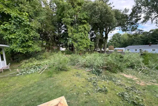 Yard Maintenance