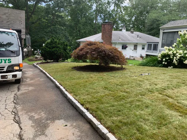 Green Guys work photo