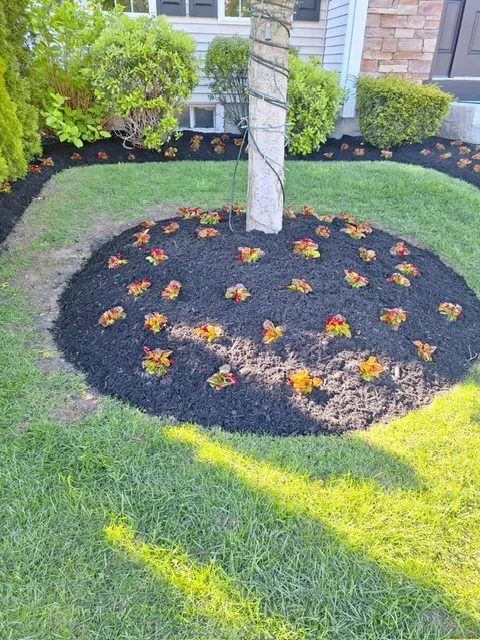 Twins Landscaping and construction inc.