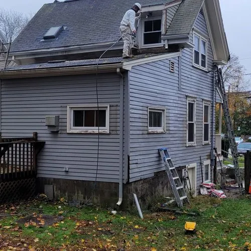 Royal Painting Co. / Painting and renovation company