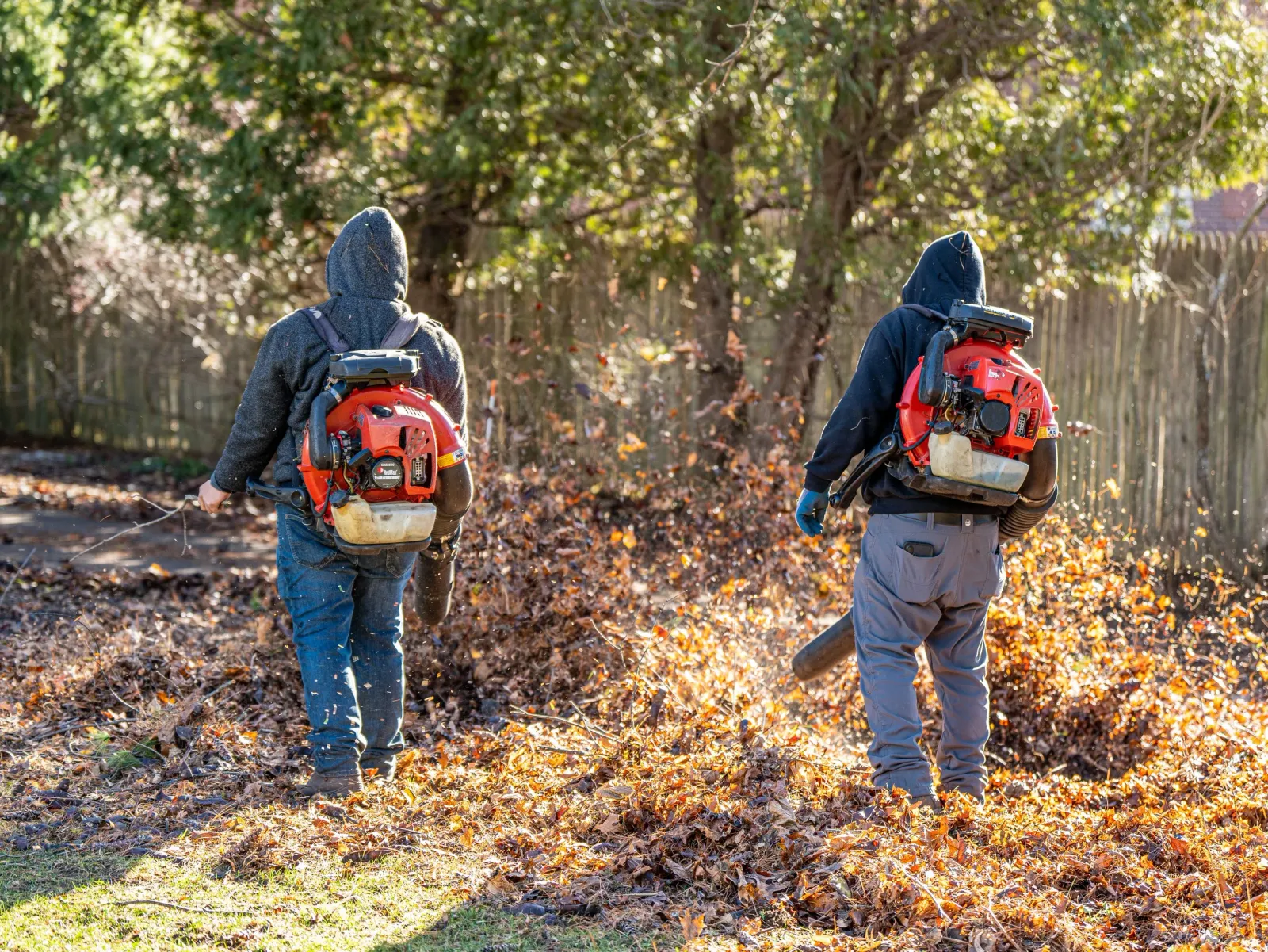 Two people with leaf blowers raking fallen leaves in a backyard during autumn.