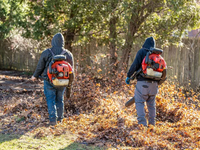 Two people with leaf blowers raking fallen leaves in a backyard during autumn.