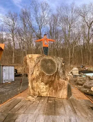 CM Tree Service LLC gallery picture