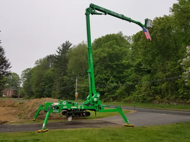 Hayes Tree Care work photo