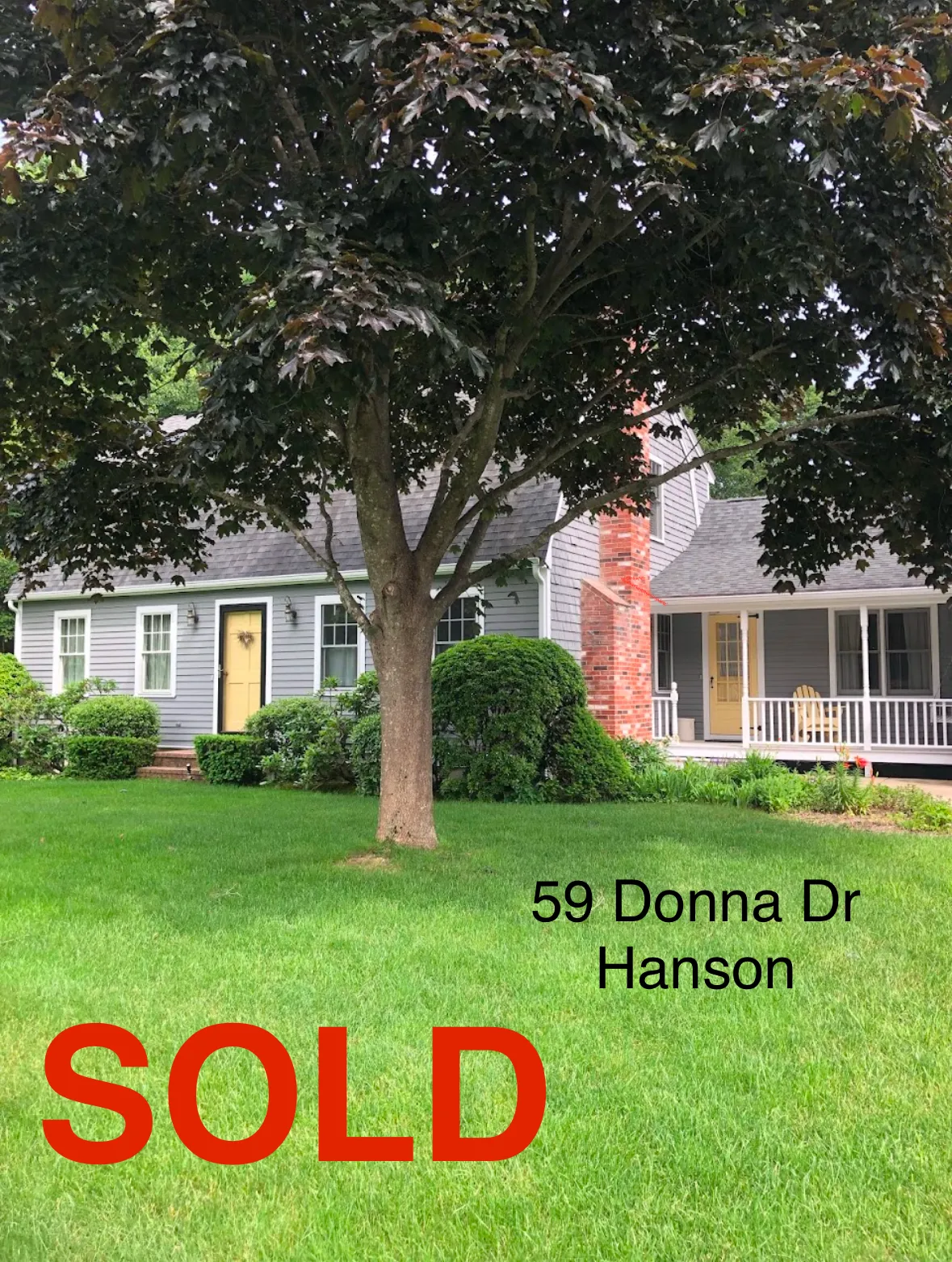 Donna DeRosa Realtor
