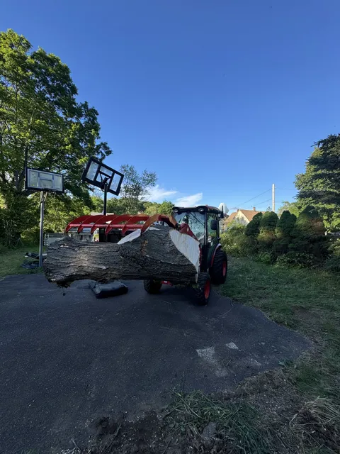 Red compact tractor with a front loader carrying a large log round across a paved driveway in evening light