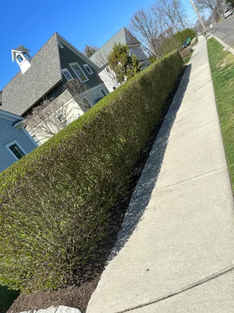 Shoreline Landscaping Milford researched project photo
