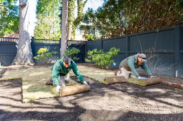 City & Estate Gardener Lawn Care & Landscape Maintenance work photo