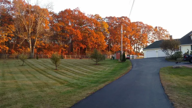 IMG_20161108_161152032.jpg