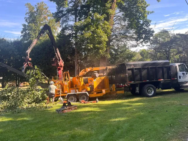 Tree trimming or removal equipment and workers are working in a backyard with green grass and trees. A large truck with a crane and a wood chipper are present, and logs are scattered on the ground.
