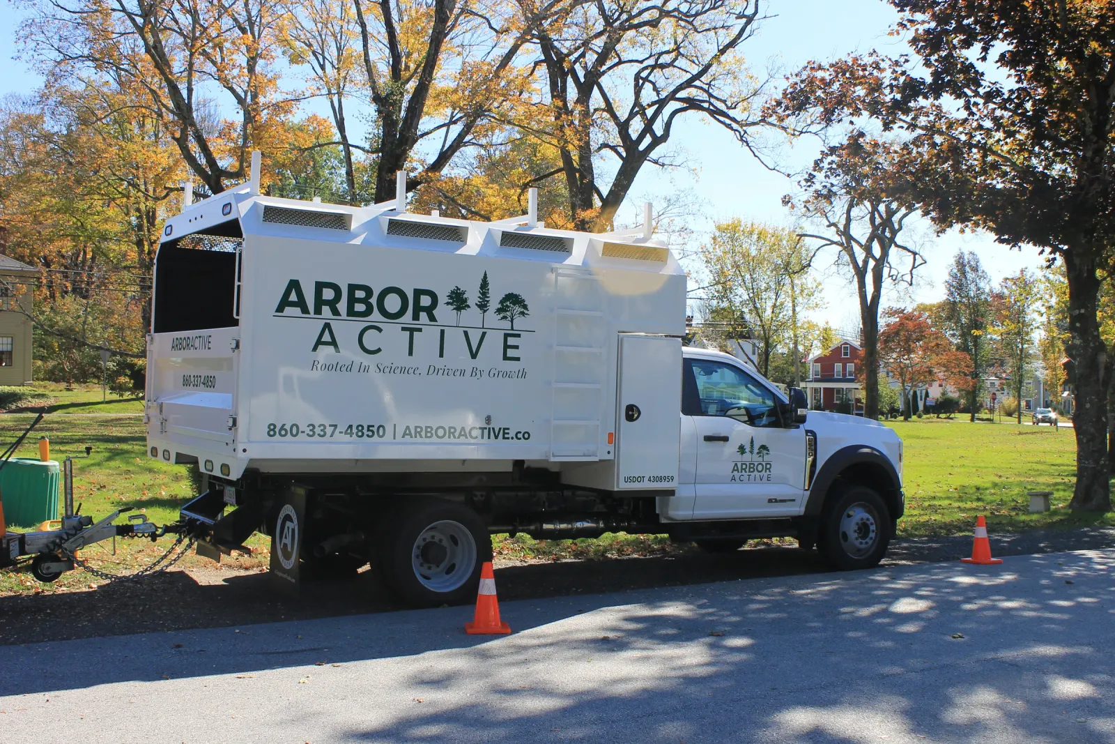 work photo from arboractive.co