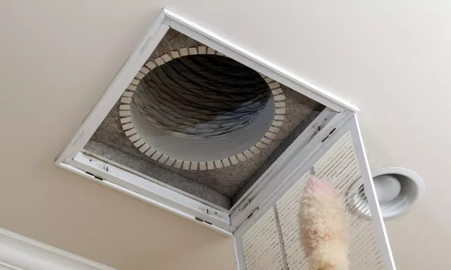 Happy Massachusetts family breathing cleaner air after professional air duct cleaning by Clean Air Pro.