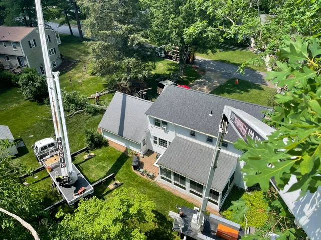 J. Bonin Tree Services, LLC verified work photo