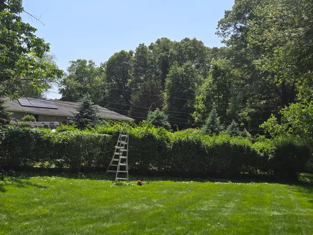 Jose Gonzalez Landscaping LLC work photo