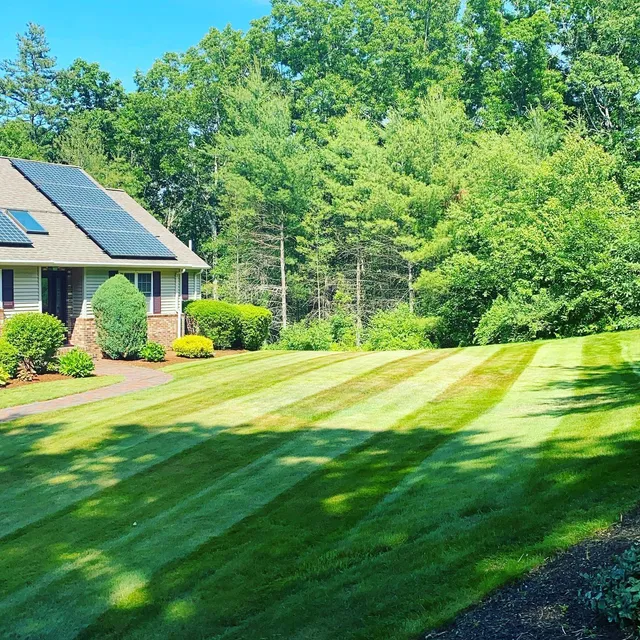 Rodas Landscaping Inc. work photo