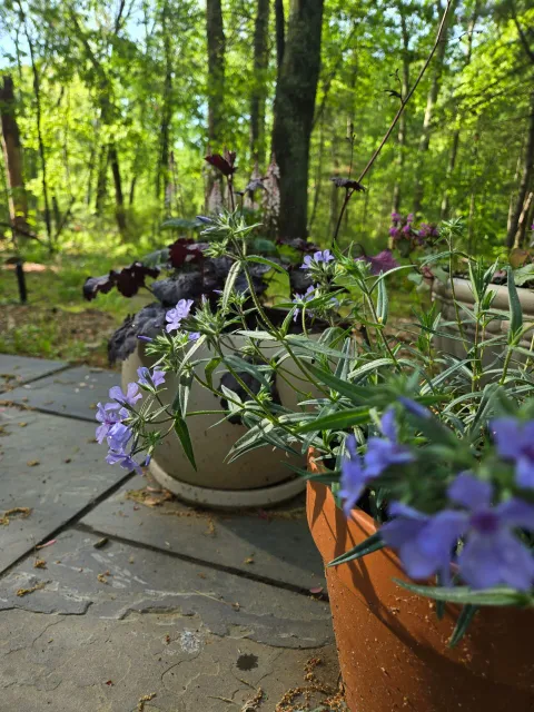 The Green Porch Co LLC work photo