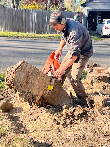 Kane Tree Service work photo