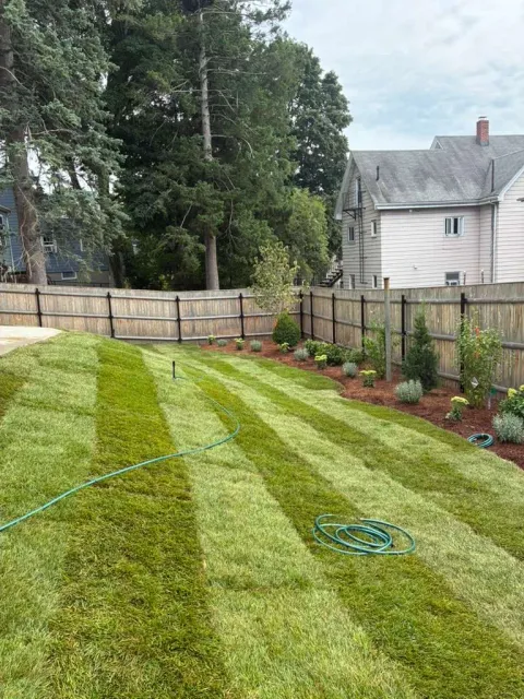 work photo from ramostreeplanting.com