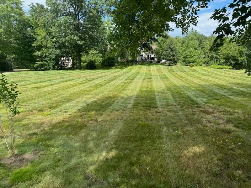 Mowing