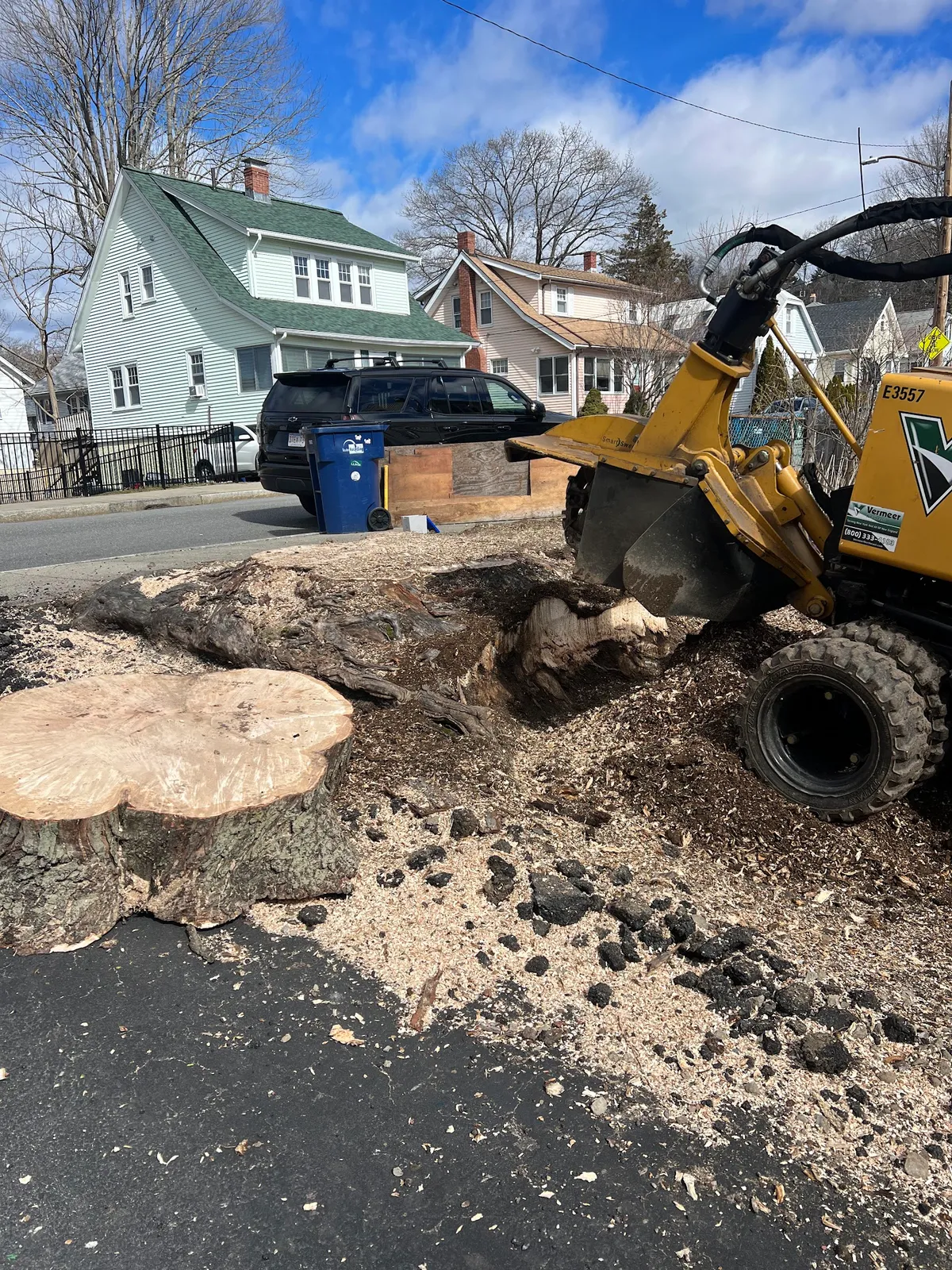 Anthony Tree Services & Landscaping