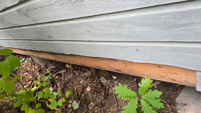 Replaced sill trim board